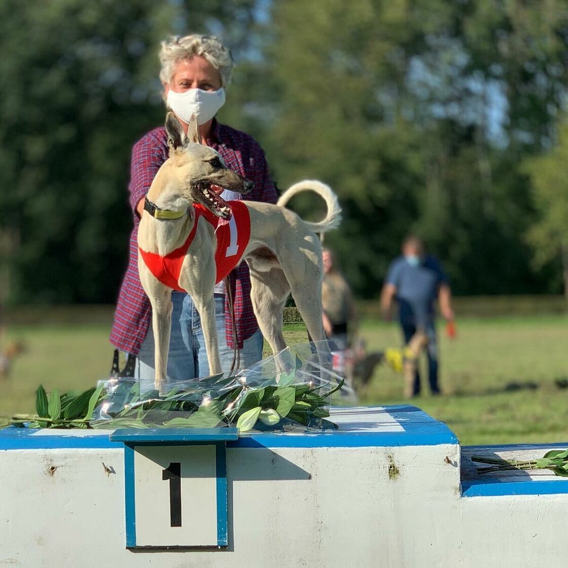 Erfolge unserer NWRHunde Norddeutscher WindhundRennverein e.V.