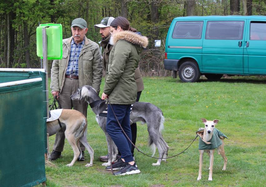 Unser Training am 14. April 2019 Norddeutscher WindhundRennverein e.V.